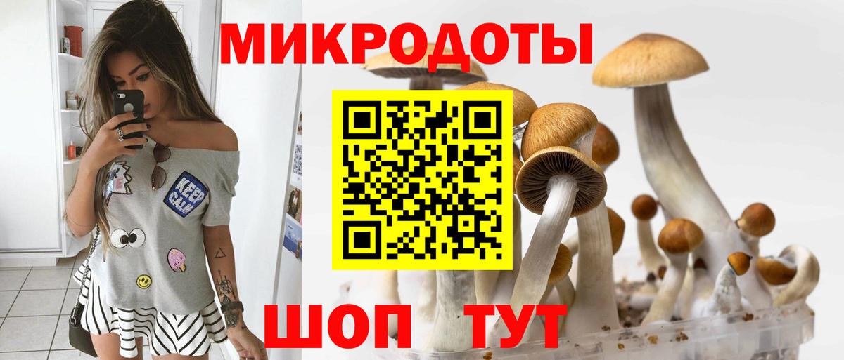 Шелехов  Псилоцибиновые грибы Psilocybine cubensis  Вход с VPN 